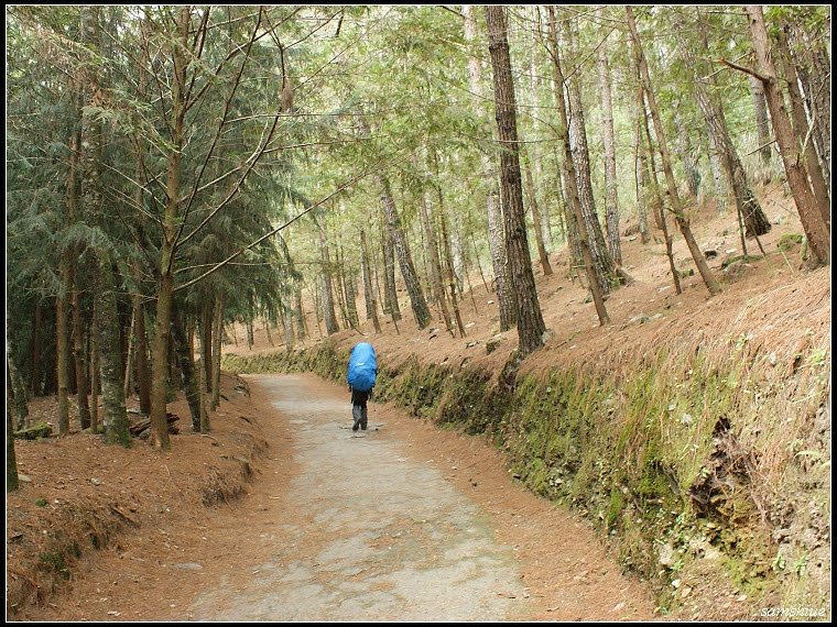 DSC09601