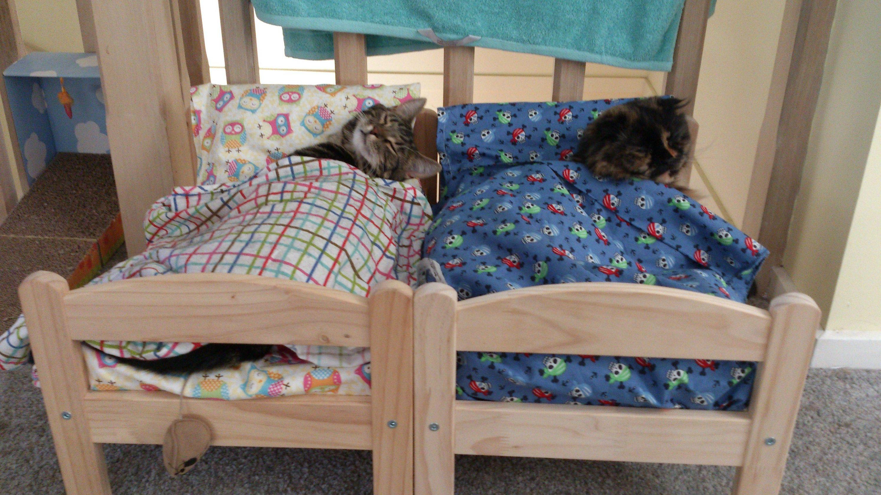 Ikea イケア の人形用ベッドが猫用のベッドにぴったりって知ってた Izilook
