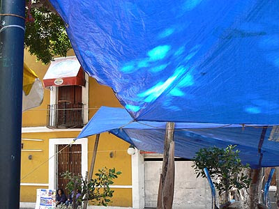 toile bleue et mur jaune.jpg
