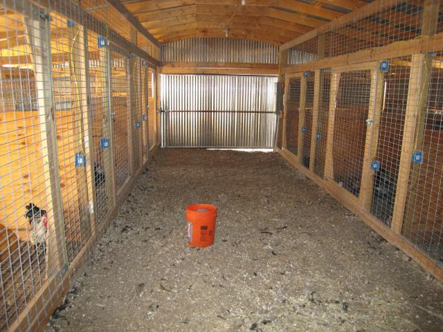 BrowHen: Looking for Chicken breeding pen design
