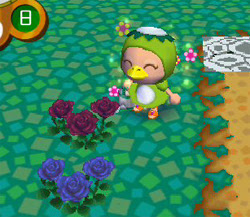花の交配完了 青バラ 白いカーネーション完成 とびだせどうぶつの森 ポケモンブログ