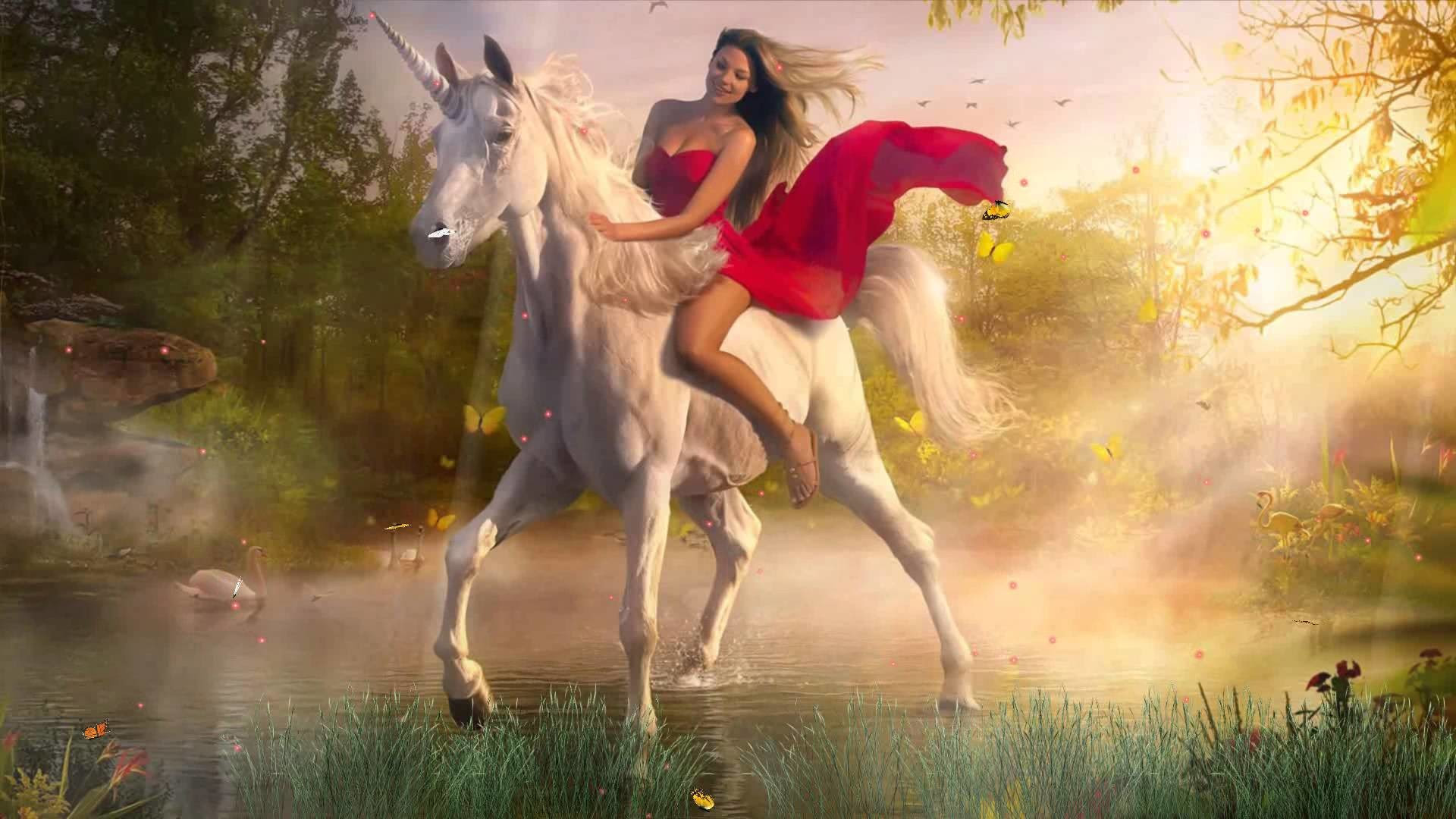 Download Animated Unicorn Wallpaper (68+ images)