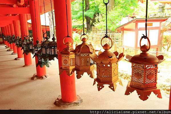 奈良 春日大社 與小鹿一同漫步在世界遺產的原林裡 日本 私旅行 痞客邦