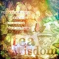 blogbuttonteawisdom-1
