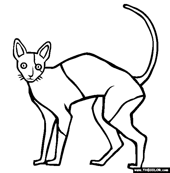 Download Cats Online Coloring Pages | Page 1
