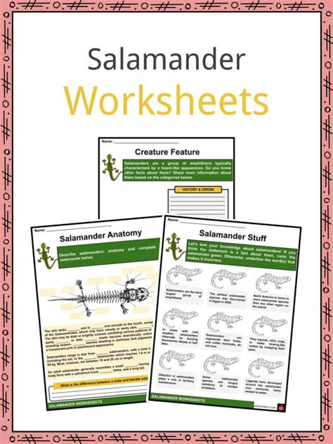  salamander facts worksheets description diet for kids