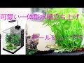 画像をダウンロード アクアリウム 可愛い 406552-アクアリウム 可愛い