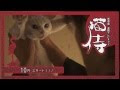 【ベストコレクション】 猫侍 壁紙 811019-スマホ 壁紙 猫侍