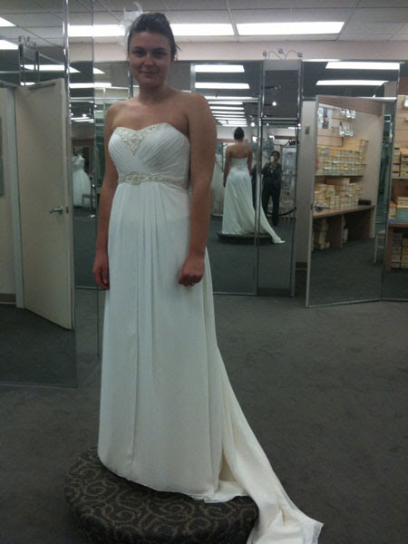 discontinued davids bridal dresses. David#39;s Bridal : wedding