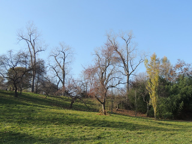 DSCN2810