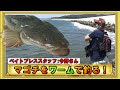 25 ++ サーフ ワーム リグ 207174-サーフ ワーム リグ