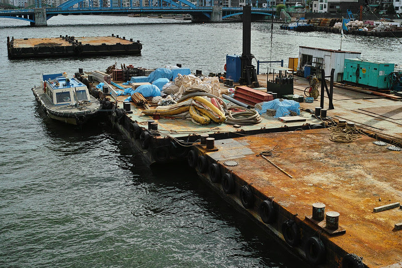 Merrill in DownTown of Tokyo