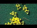 Senna Golf Tees