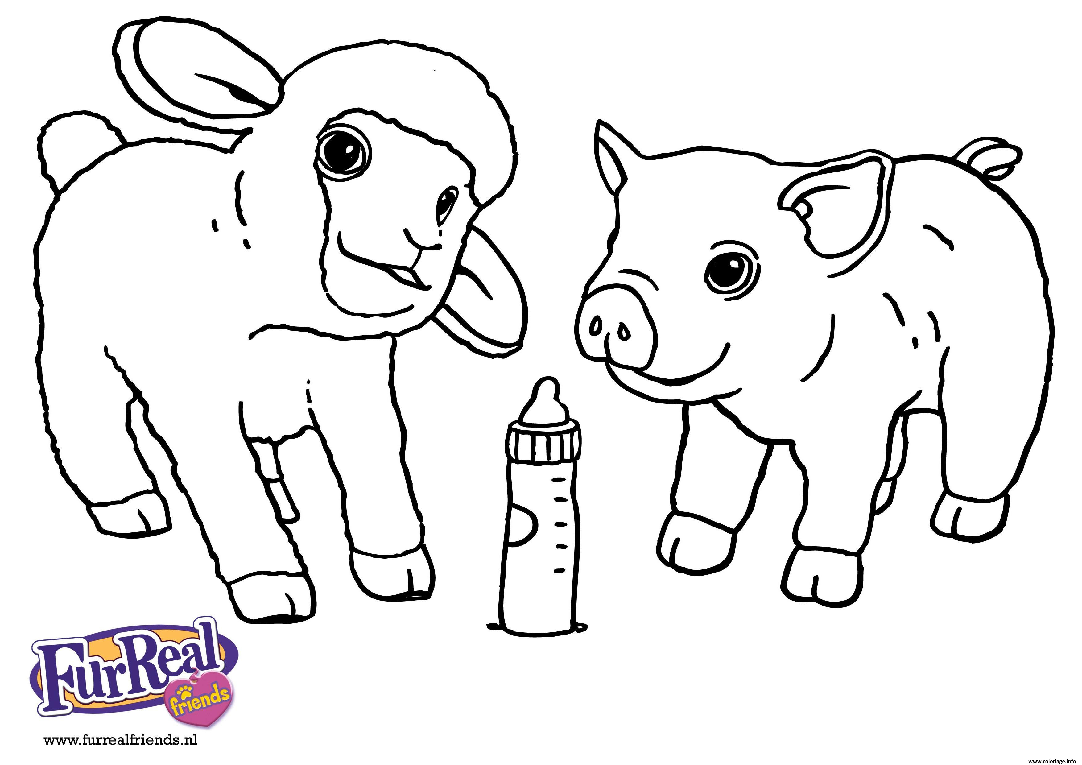 Coloriage Bebe Mouton Et Bebe Cochon Animaux De La Ferme Jecolorie Com