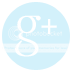  googleplus icon