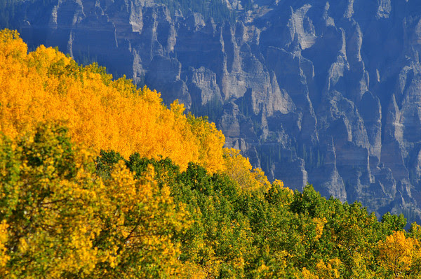Autumn color on Cinnamon Pass
