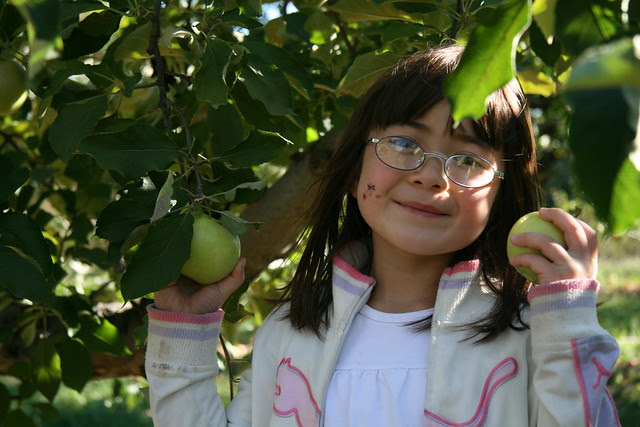 Picking apples