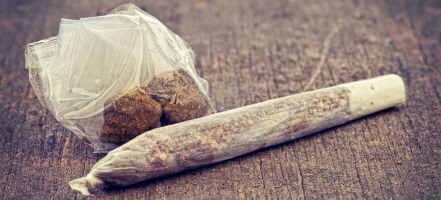 Hashing It Out: The Art And Science Of Pushing Pot To Its THC Limits