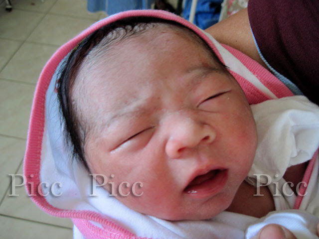 奥様は１８歳 産まれたが ガッツ石松似 フィリピンの旅 写真館 フィリピンに行こう Piccのブログ