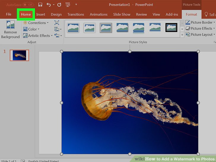 Add a Watermark to Photos Step 18 Version 4.jpg