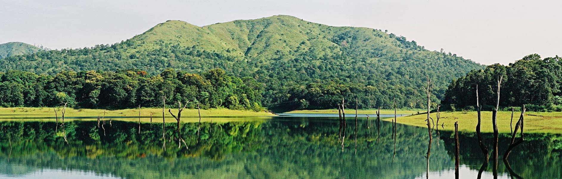 Periyar Lake, Tekkadi, Kerela