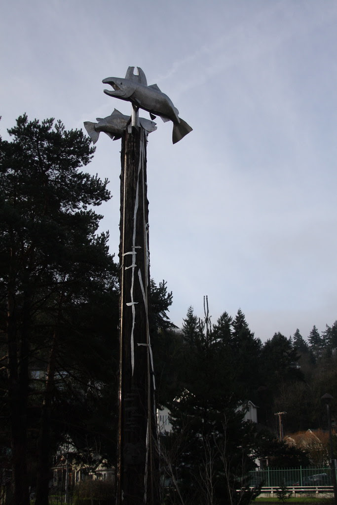 Salmon Cycle Marker