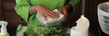How To Store Red Leaf Lettuce Download Audio Mp3 and Mp4