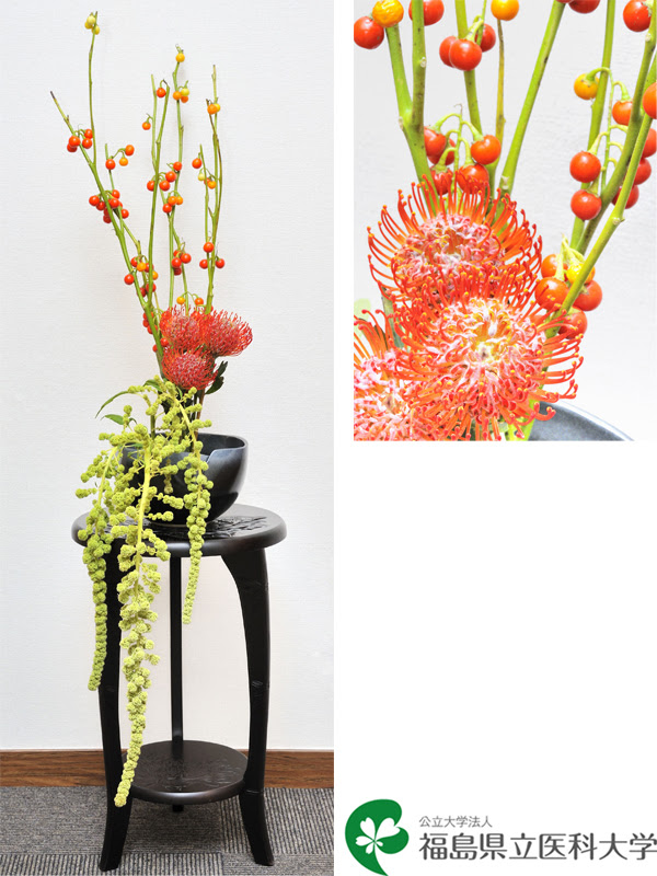 理事長室からの花だより 公立大学法人 福島県立医科大学