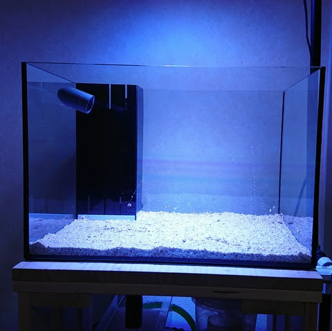 限定価格セール 水槽 オーバーフロー水槽 45x45x45cm 魚用品 水草