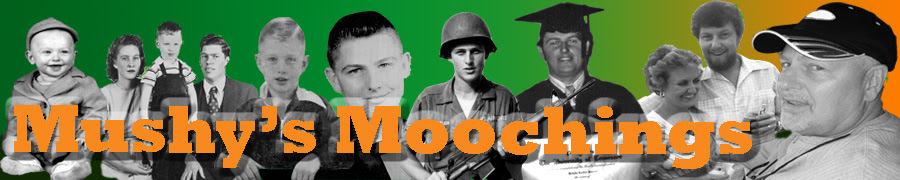 Main Page