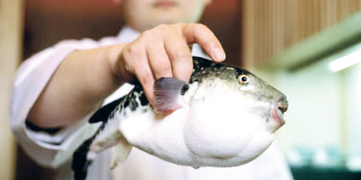 صورة