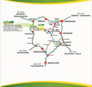 paket wisata pulau pari