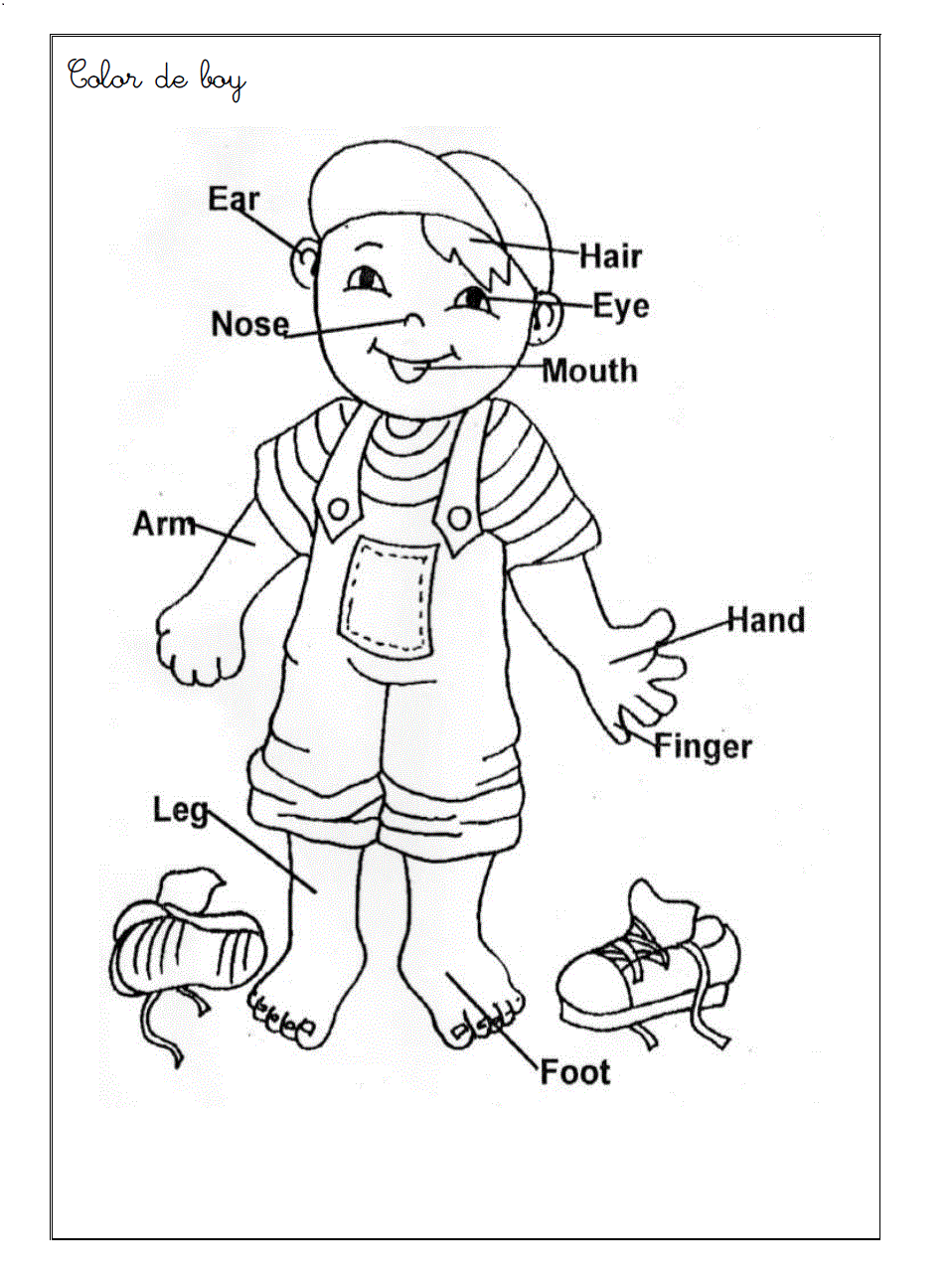 Free Preschoolers Coloring Pages Of The Human Body Download Free