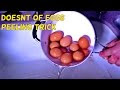 How to peel dozen of eggs the fatest way