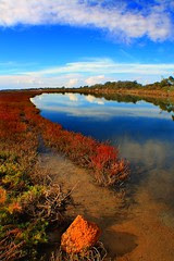 wallpaper pemandangan alam terindah di dunia foto gambar wallpaper pemandangan alam terindah di dunia foto gambar