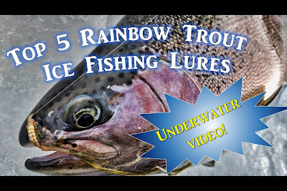 best bait for rainbow trout in winter