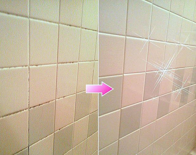 Kis プロお勧めの業務用カビ取りジェル 浴室ゴムパッキンや壁紙黒