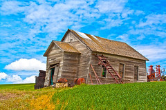 Palouse Old barn