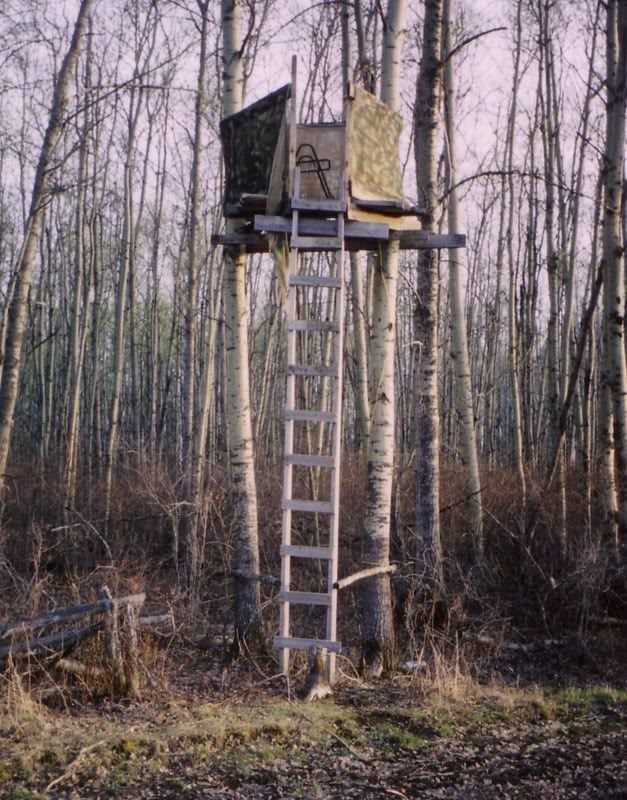 Homemade ladder stand - Page 3 - HuntingNet.com Forums