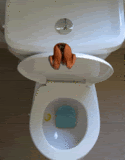 Flush!