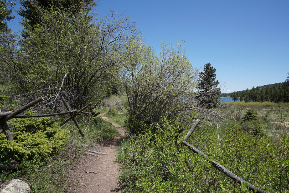 Wellington Lake - GO HIKE COLORADO