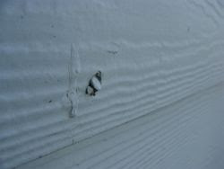 Angled Nail