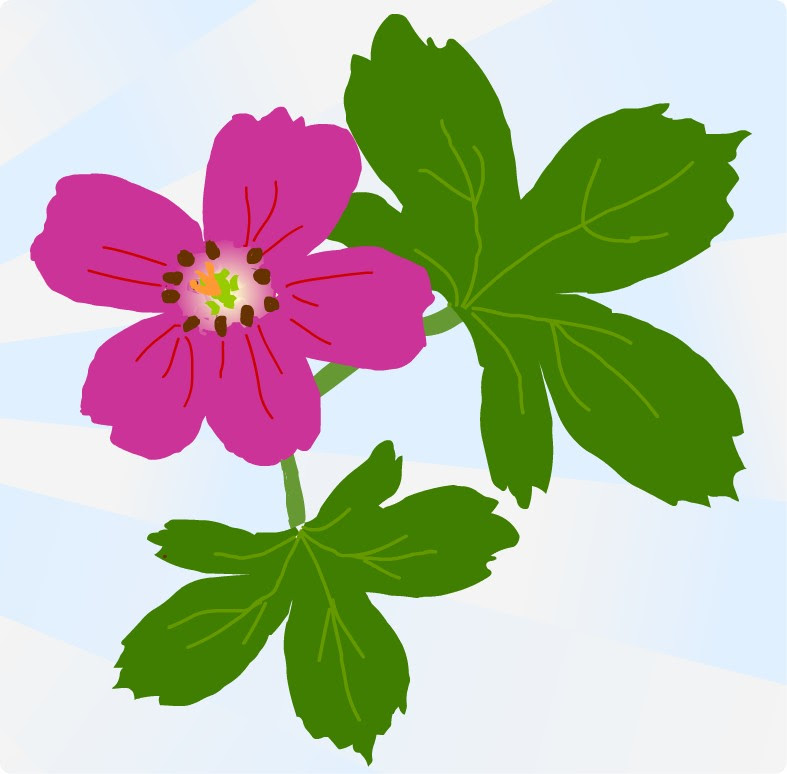 秋 秋景色 秋の花 イラスト 無料
