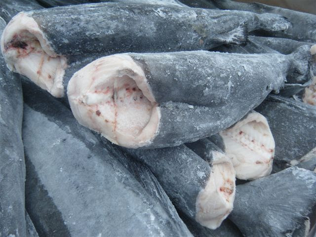 银鳕鱼 黑鳕black Cod Jf Seafoods Company 杰夫海产 加拿大