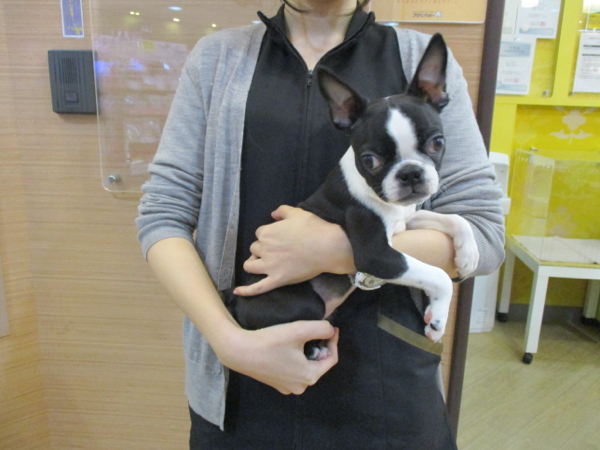 抱っこの仕方 間違えていませんか スタッフのブログ