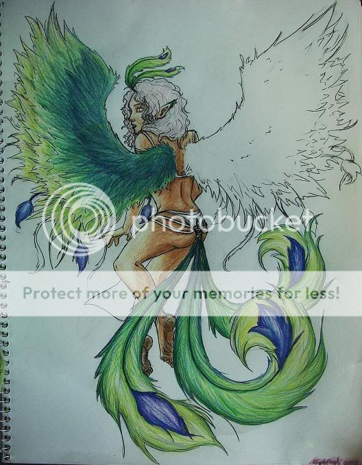 Chinese Phoenix WIP II and Completed Yeah sorry it's been so long Chinese Phoenix WIP II and Completed Yeah sorry it's been so long