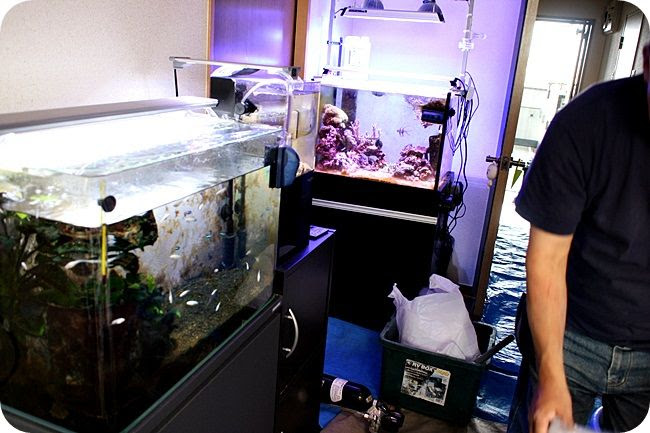 水槽の引っ越し業務 営業案内 海水魚のパイオニア 日海センター 日海フィッシュコム