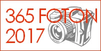 Fotoutmaningen