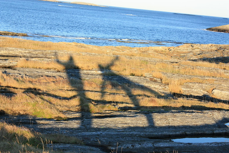 Skuggajógar