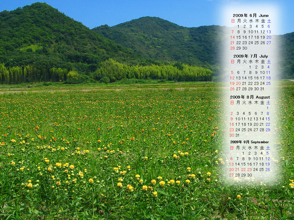 無料壁紙カレンダー 紅花 兵庫と神戸の写真ブログ